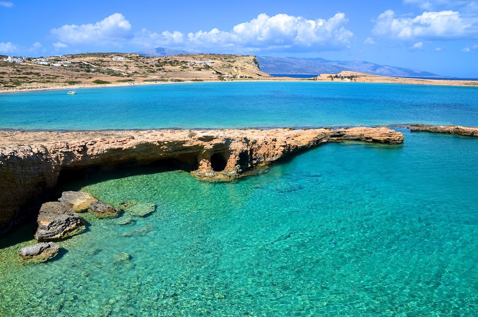 1239795_10151645313016606_487983275_n