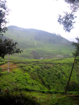 ???????????????????????????????