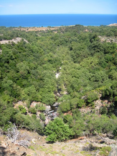 ???????????????????????????????